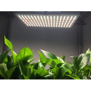 High PPFD IP65 5000lm Quantum Grow Lights