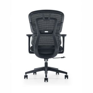 Mid Back Ergonomic Mesh Office Chair with Double Back and Adjustable Armrest