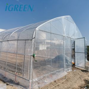 Small Scale Farming Single Span Greenhouse Customize Plastic Film Greenhouse