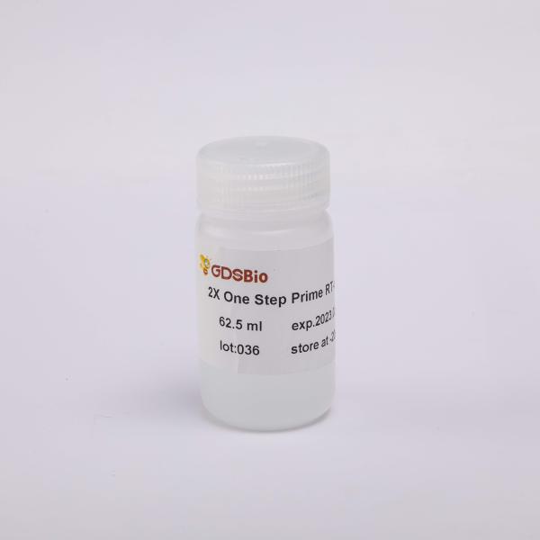 2X One Step RT QPCR Master Mix Multiplex QPCR Kit V5008 5000rxn 25UL/Rxn