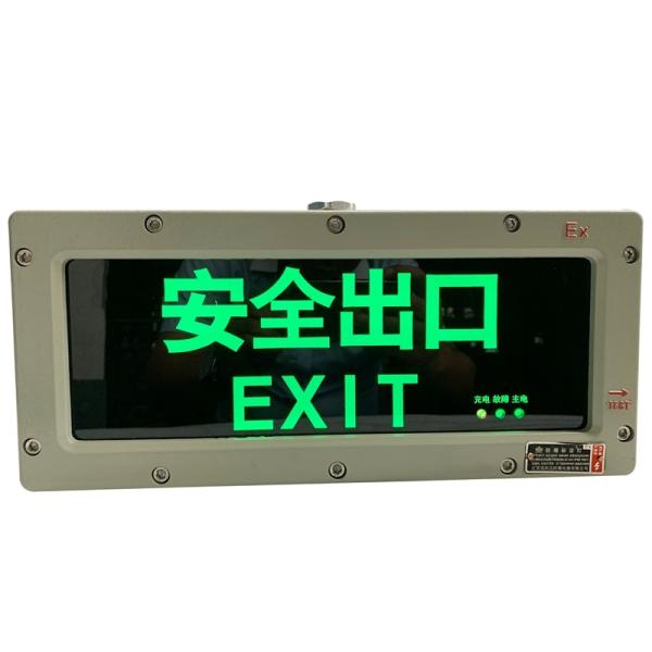 Flameproof Emergency Light with Customised Surface Pattern 3W 220VAC Exit Sign