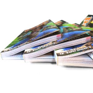 Custom Promotional Glue Binding Brochure Color Booklet Printing Services for ads