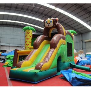 Bouncy Popular Air Jumper Bouncer Castle for Boys and Girls 8-13 Years Old