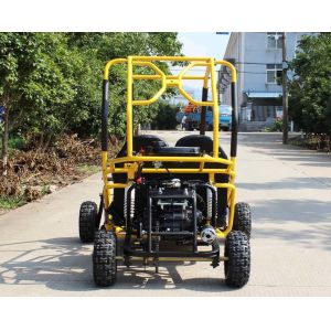 Small Size 110CC Go Kart Buggy Automatic Clutch 3 Speed Gear With Reverse
