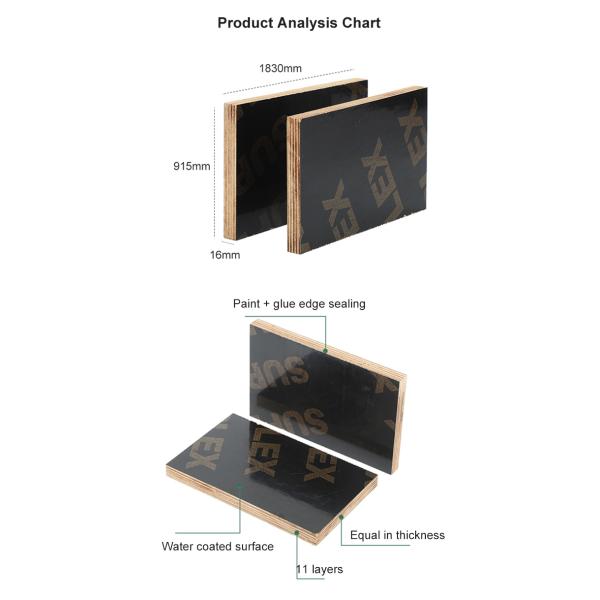 Poplar Pp laminated plywood formwork plywood