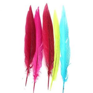 Buy cheap Shipping Worldwide Silver Pheasant Feather for Carnival Costumes and Party from wholesalers