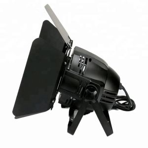 DMX Control RGBW COB LED Par Light