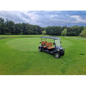 4 Seat Golf Cart With 48V Battery System Fast Charging Capability Powerful AC