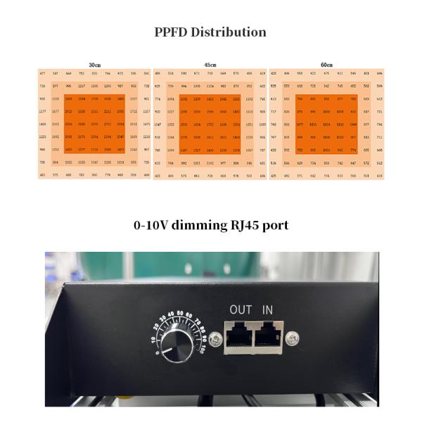 640W Top LED Grow Lights Full Spectrum Plant Growth Lamp For Greenhouse Seedling Flowering