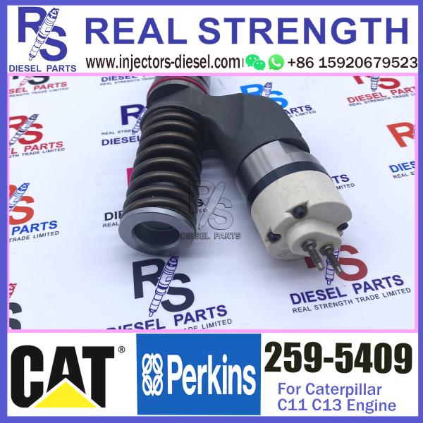 Diesel Engine Fuel Injector 253-0608 253-0615 254-4183 259-5409 280-0574 for Caterpillar C11 C13 engine