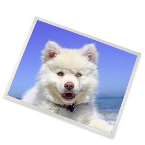 MV238FHB-N20 new and original 23.8 inch lcd module 1920*1080 in stock lcd screen