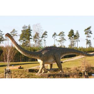 Durable Simulation Giant Animatronic Dinosaur With Vivid Roaring And Breathing