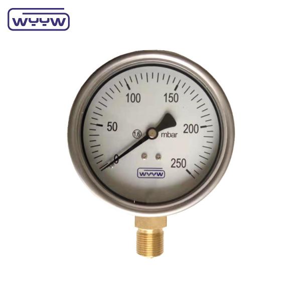 Chinese Bottom Stainless Steel Manometer Price Bellows Type 0-50 Mbar Capsule