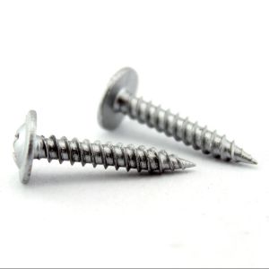 Factory Price Round Head Self Tapping Screw Stainless Steel SS 304 A2-70 A2-80