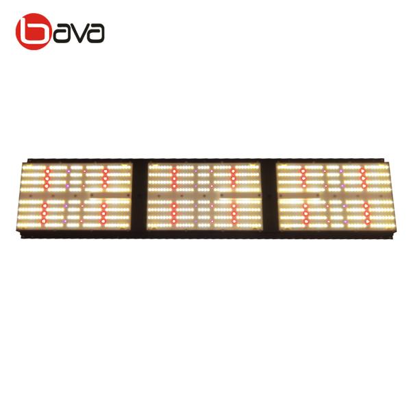 SAMSUNG LM301B Quantum Board V2