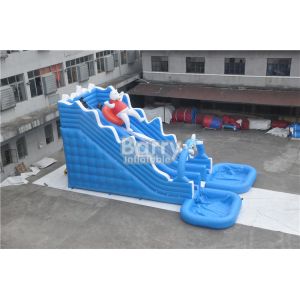 0.55mm PVC Commercial Inflatable Water Slides With Big Pool Rental