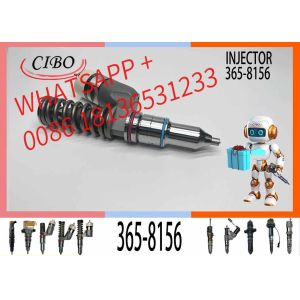 China common rail injector 10R-9787 365-8156 276-8307 10R-0724 10R-9787 10R-7228 for  C18 Engine Excavator on sale