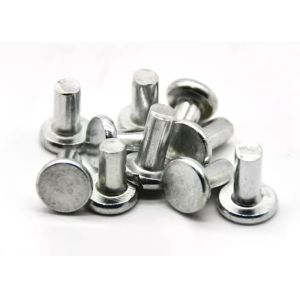 M5 M6 M8 Stainless steel Flat head solid rivet SUS304 SUS316 A2-70 Customized