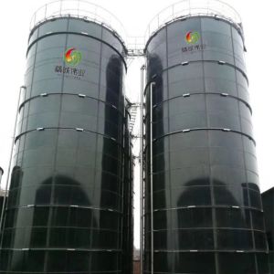Sewage Biogas UASB Anaerobic Reactor Project In China