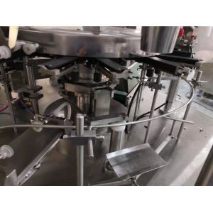 Plantain Dried Fruit Automatic Rotary Packing Machine 100g 1000g Weighing