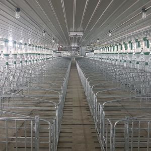 Pig Cage Coop Swine Poultry Farming Structures 320MPA tensile strength