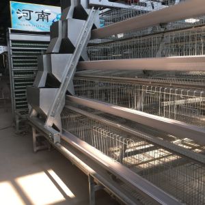 3 Tiers 4 Tiers Battery Layer Chicken Cages A Type For Uganda Farm