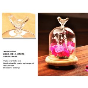 glass dome for display decorations with base wood