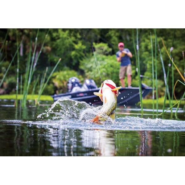 6 Colors 4.3CM/4.4g 3D Eyes Plastic Hard Bait 0.30m-0.6M Floating Crank Fishing Lure