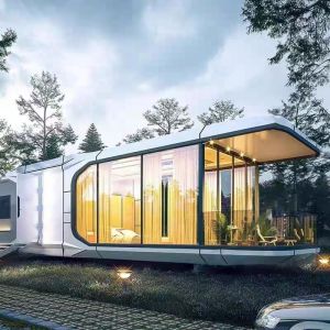 Wholesale Portable Space Capsule House with 8 Ton Capacity and Steel Frame from china suppliers