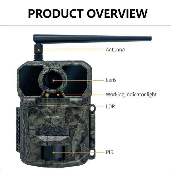 IP65 Waterproof 4G Trail Camera