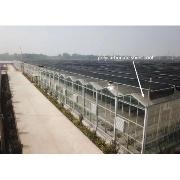 24 X 24 24 X 18 20x30 Venlo Custom Glass Greenhouse Cover Sides Polycarbonate Sheet Roof Covering For Tomatoes