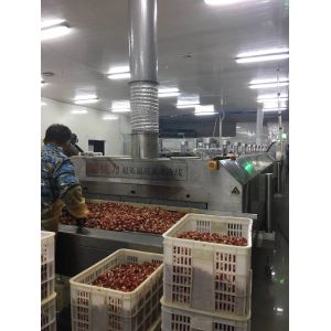 DJL Food Vegetable Cooling Conveyor Freezing Machines Factory Price Commercial