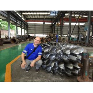 Small Flow Turbine Pelton Wheel Runner 800KW Vertical Horizontal