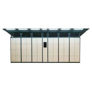 China 2021 new design intelligent parcel delivery locker steel made security structure indoor outdoor use with remote system on sale