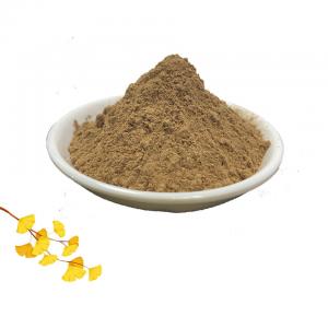 Wholesale Herb 24 Flavone Ginkgo Biloba Leaf Extract 6% Lactones from china suppliers