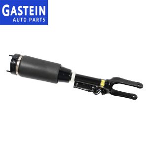 2513203013 Front Shock Absorber