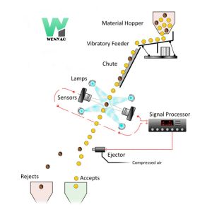 Wenyao 10 Chute High Sorting Speed Color Sorter Multifunction CCD Camera Wheat