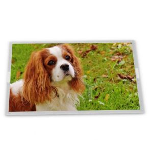 G150XG01 V.1 G150XG01 V1 1024*768 Lcd Monitor 15 Inch Lcd Display Module LVDS