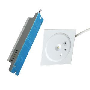 Indoor Ceiling LED Self Testing Emergency Lights For Goverment Buildings