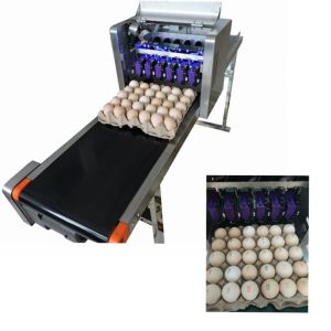 High Performance Egg Printing Machine Can Print Large Or Micro Characters