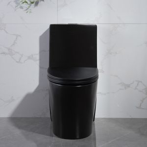 Matt Black One-Piece Compact Elongated Dual-Flush Toilet With Skirted Trapway