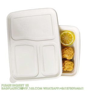 Disposable Biodegradable Sugarcane Bagasse Pulp Food Container Take Away Lunch