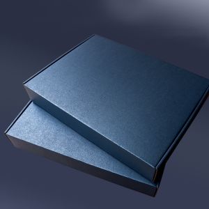 Airplane Style Corrugated Gift Boxes UV Printing Shipping Mailer Boxes Pink