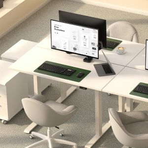 Single or Dual Motor Electric Sit Stand Up Desk for White Wooden Laptop Gaming