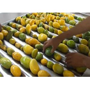 Electric Fresh Mango Juice Processing Machine 5T/H Stone Removal