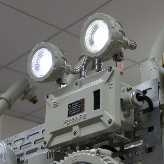 Quality 2x3W Explosion Proof LED Emergency Exit Light with Rechargeable Battery for sale