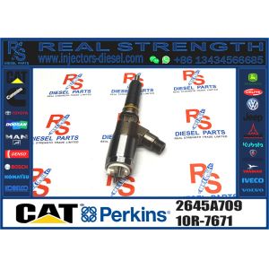 Durable Fuel Injector Assembly 321-3600 320-0677 320-0690 320-0680 2645A709 10R