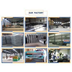 Anping Yaqi Wire Mesh Co.,Ltd