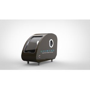 Single People Home Use 1.5ATA Hard Sitting Type High Pressure Oxygen Therapy