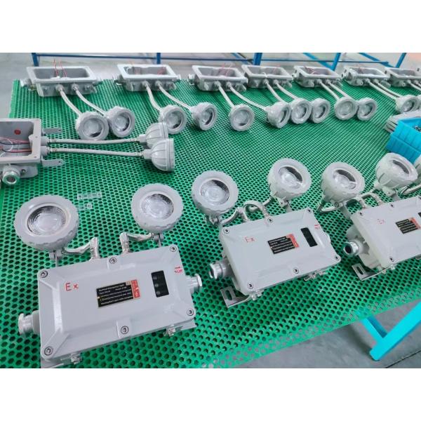 Explosion Proof LED Emergency Light - Wall/Ceiling Mount